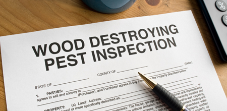 <strong><strong>Pest Management</strong></strong>
