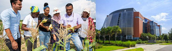 UF Greenhouse Gas Inventory - Sustainability Sustainability » University of  Florida Business Affairs » University of Florida