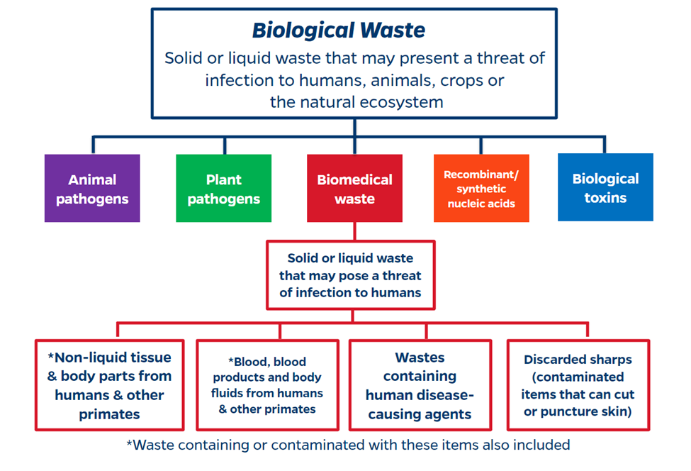 How to Dispose of Biohazard Waste Bags?