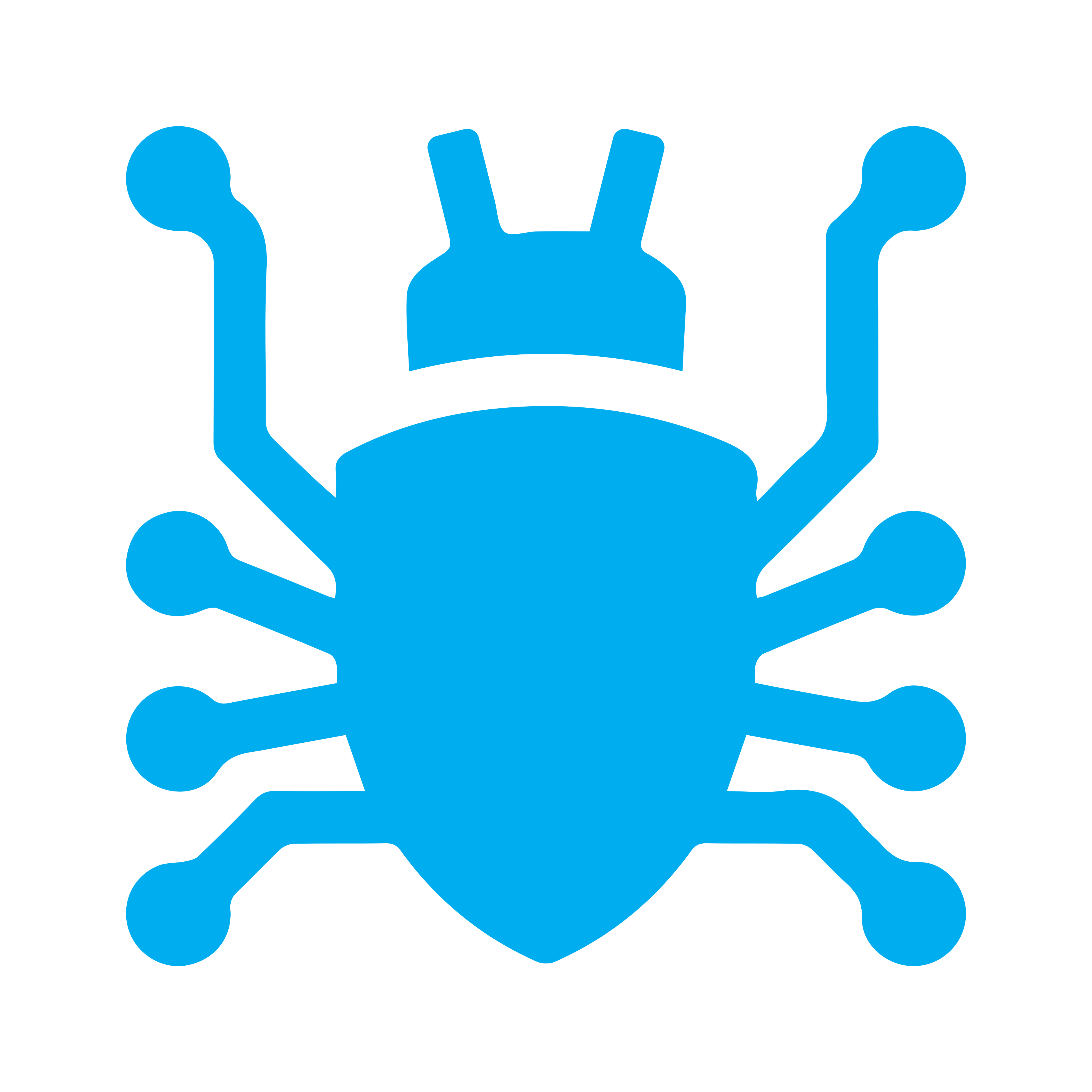 Pest Control Services