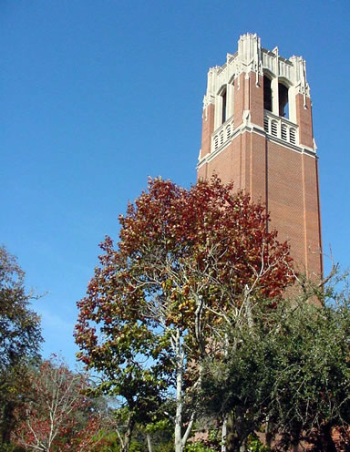 Red brick tower against a clear blue sky, partially framed by trees with reddish-brown leaves.